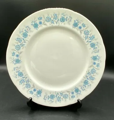 Buy Dinner Plate Colclough Braganza 10 1/2  / 270mm Periwinkle China Gift • 13.18£