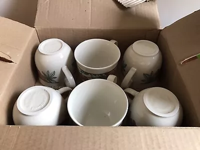 Buy Staffordshire Tableware Set Of 6 Cups New  • 19.99£