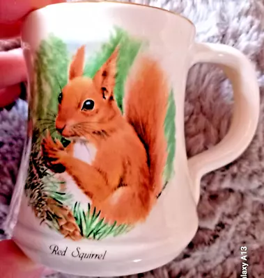 Buy Prinknash Pottery Red Squirrel Mug With Gold Rim • 6£