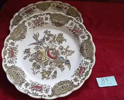 Buy Ridgeway Of Staffordshire Hand Engraved Decorative Windsor Pattern Dinner Plate • 4.99£