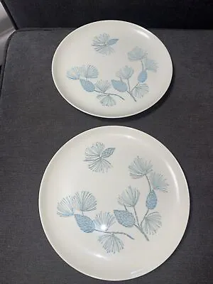 Buy Set Of 2 VINTAGE OVENPROOF DINNERWARE Blue Pine Cones 9.5” Plates Hand DECORATED • 9.63£