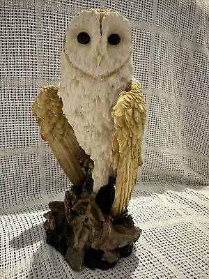 Buy Barn Owl Ornament • 5£