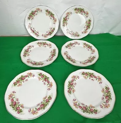 Buy Queens Rosina China Co ‘woman And Home ‘ X6 Side Plates 8 Inches • 12.99£