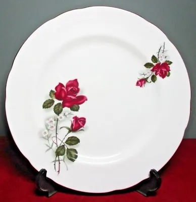 Buy Vintage HAMMERSLEY & CO Bone China 10 3/4  DINNER PLATE ~ Made In England BEAUTY • 10.38£