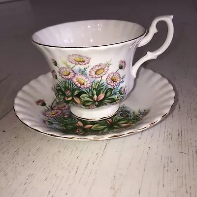 Buy ROYAL ALBERT PRETTY Pink Daisy Cup And Saucer • 7£