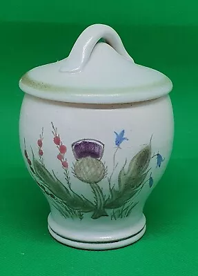Buy Buchan Thistle Honey Pot - Hand Decorated & Signed • 5£