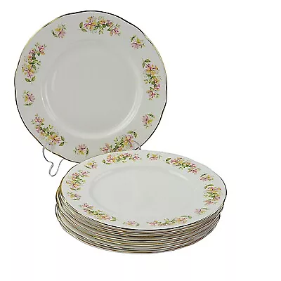Buy Duchess, 8 X Luncheon Plates, 9.5 Inches, Honeysuckle  • 38£