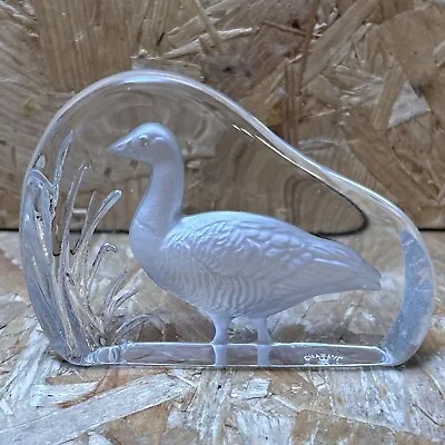Buy Wedgewood Crystal Glass Bird Paperweight - Goose Canadian Geese - 8x10.5x2.5cm • 8.99£