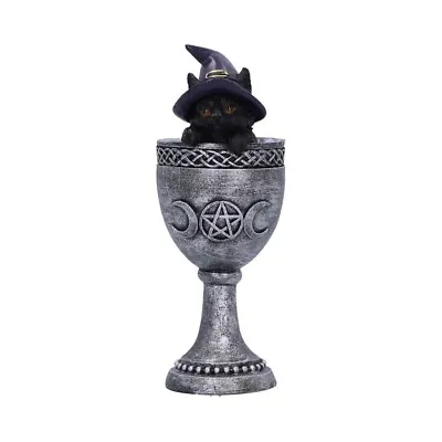 Buy NEW Coven Cup Feline Black Cat Figurine Witches Cat Figure Ornament  16cm Boxed • 10.85£