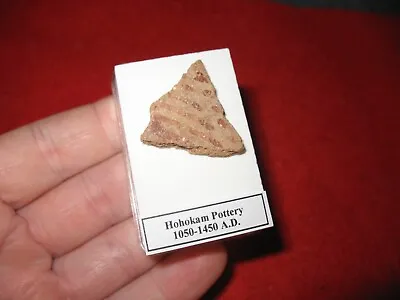Buy Hohokam Extinct Tribe Indian Pottery Shard 800 Yrs Old Arizona Display Case #1 • 10£