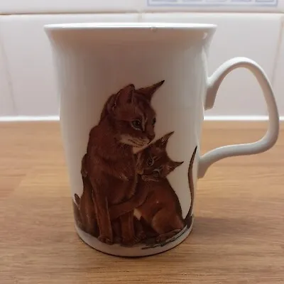 Buy Fine Bone China Cat Mug By Roy Kirkham.(Pattern 4) Small Chip To Rim,see Photos • 2£