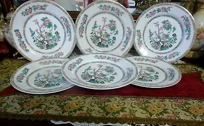 Buy Vintage 6 X  Lord Nelson Pottery Indian Tree Dinner Plate 10” • 30£
