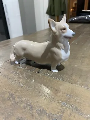 Buy Lladro Welsh Corgi Pembroke Dog Porcelain Figurine #8339  - Excellent Condition • 31£