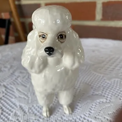 Buy Beswick Dog, Poodle, Marks On The Paws • 20£