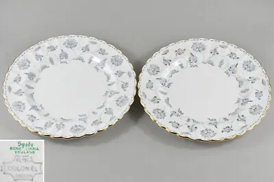 Buy Vintage Spode Colonel Grey Bone China Pair 9¼  Breakfast Lunch Plates • 13.49£