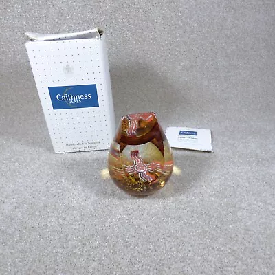 Buy Caithness Limited Edition Paperweight DESERT DREAMS Helen MacDonald 150/500 • 50£