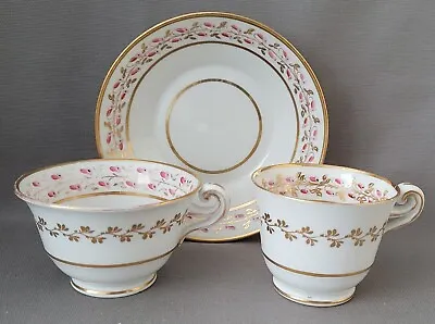 Buy New Hall Pink Hips & Gold Pattern U432 Trio C1815-25 Pat Preller Collection • 20£