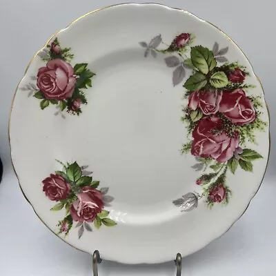 Buy Tuscan Fine English Bone China 8.25  Luncheon Plate- Moss Rose Made In England • 14.25£