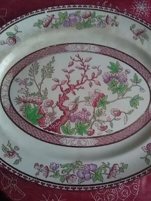 Buy Midwinter Pottery Indian Tree Oval Serving Platter • 5£