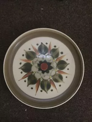 Buy 1 X Denby Langley Sherwood Dinner Plates, VGC Approx 10” Prompt Post • 4£