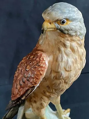 Buy Vintage Goebel Bird Figure Hawk Eagle Cv110 • 65£