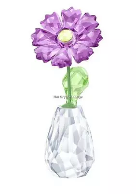 Buy Swarovski Flower Dreams - Gerbera 5439225 Mint Boxed Retired Rare • 115£
