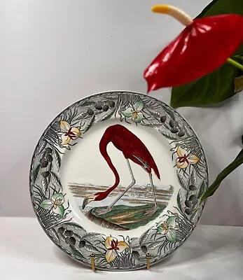 Buy Audubon Flamingo Plate By William Adams Tunstall, England • 185£
