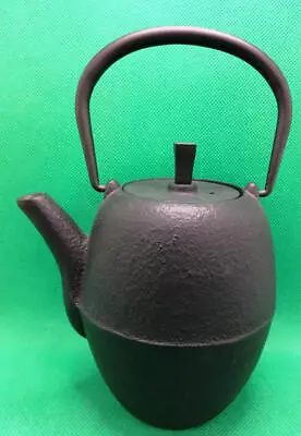 Buy Nanbu Ironware Items Used: Egg-Shaped Teapot • 156.22£