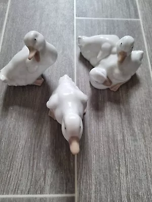 Buy Nao Lladro Figurines Ducks • 4£