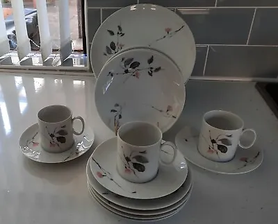 Buy Thomas Germany Quince Pattern Dinner & Tea Ware • 5£