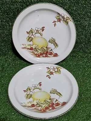 Buy Midwinter Stonehenge Still Life Oven To Tableware 9  Plates X2 Wedgwood Group • 12.99£