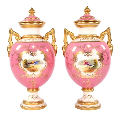 Buy Coalport Porcelain Vases Randalls Exotic Birds Pink H18cm V5146 Circa 1900 • 450£