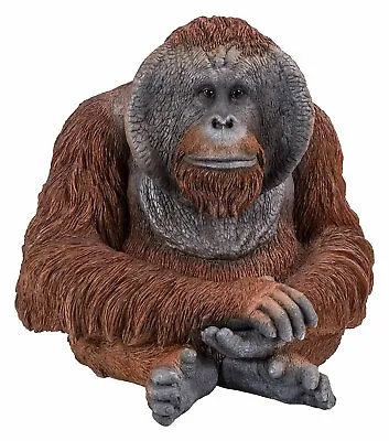 Buy Real Life Orangutan Highly Detailed Garden Ornament (XRL-ORAN-D) • 52.95£