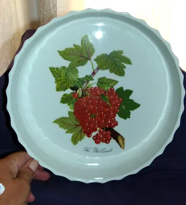 Buy Portmeirion Pomona Flan / Pie Dish The Red Currant 24cm (9.1/2 ) Approx  • 9.67£