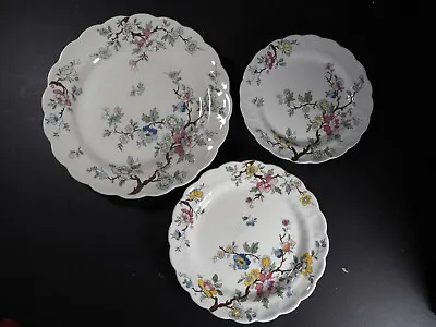Buy Booths Chinese Tree Plates X 3 Sizes -  26cm, 21cm & 19cm • 12.99£