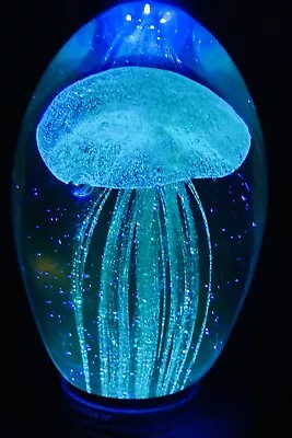 Buy Green Jellyfish Paperweight Glow In Dark Dynasty Gallery Art Glass Sealife Ocean • 13£