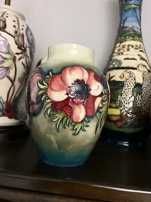 Buy Moorcroft Vintage Vase Anemones • 165£