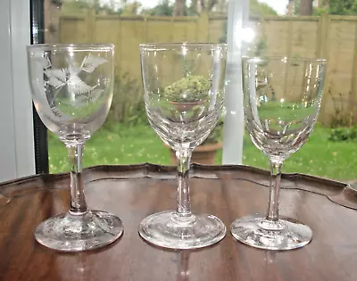 Buy Antique Victorian Wine Glasses X 3 ~ Petal Cut & Fern Engraved • 7.99£