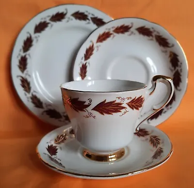 Buy Paragon Fine Bone China Elegance Design Vintage 4 Pcs Cup, Saucers & Side Plate  • 13£