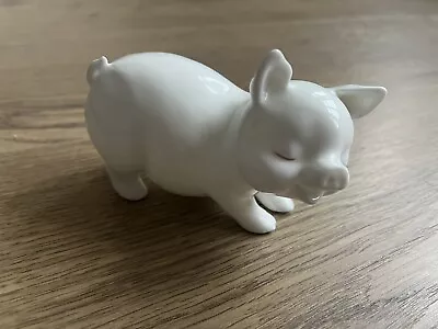 Buy Royal Osborne Bone China Figurine Of A White Pig. Number 7464 • 8£