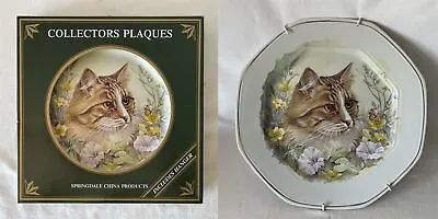 Buy Boxed Springdale China Collectors Plaque Cat Plate + Hanger • 6.45£