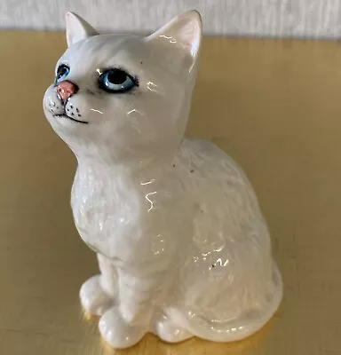 Buy BESWICK CAT  KITTEN MODEL No. 1436 WHITE GLOSS PERFECT • 14.99£