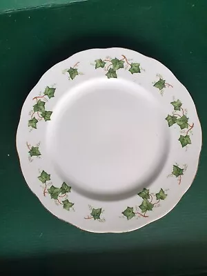 Buy Colclough Ivy Dinner Plate 10.5  • 6£