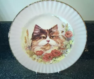 Buy Royal Vale Bone China Cat Plate 10 Inches Decorative Use Made In England • 14.99£