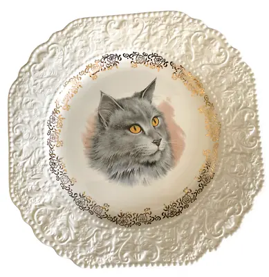 Buy VTG Gray Maine Coon Cat Plate W/ Gold Accents Lord Nelson Pottery England Plate • 14.07£