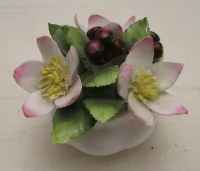 Buy Royal Albert Flowers Of The Month Christmas Rose Small Posy Vase Ornament • 3£