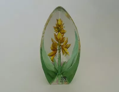 Buy Mats Jonasson Maleras Yellow Lily Paperweight(88156) - 2 7/8 (7.25cms) Labelled • 37.50£