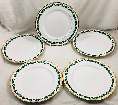 Buy Tuscan DORSET Green Ivy 5 X Dinner Plates • 24.99£