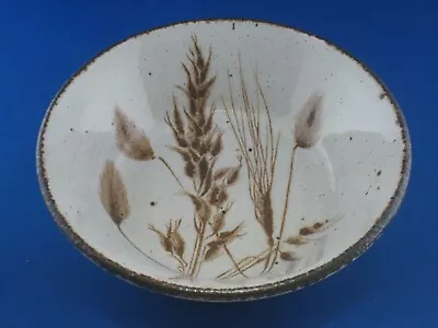 Buy Midwinter Stonehenge Wild Oats Pattern Soup/ Cereal Bowl In Excellent Condition. • 6£