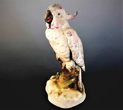 Buy STUNNING, LARGE HAND PAINTED DRESDEN CERAMIC SCULPTURE Of A COCKATOO • 295£